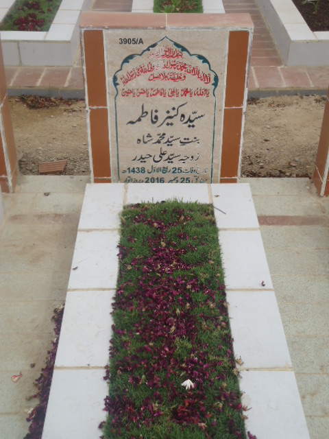 13905 – Syeda Kaneez Fatima
