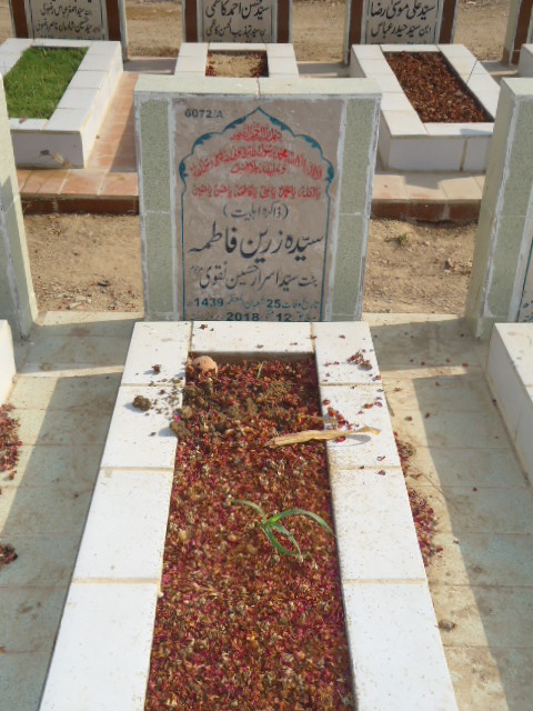 16072 – Zakira Syeda Zareen Fatima