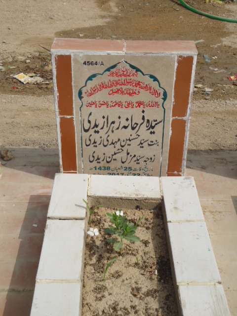 14564 – Syeda Farhana Zehra Zaidi
