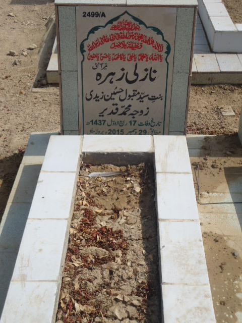 12499 – Nazli Zehra