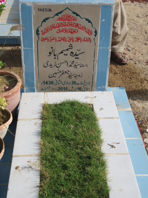 11483 – Syeda Shamim Bano