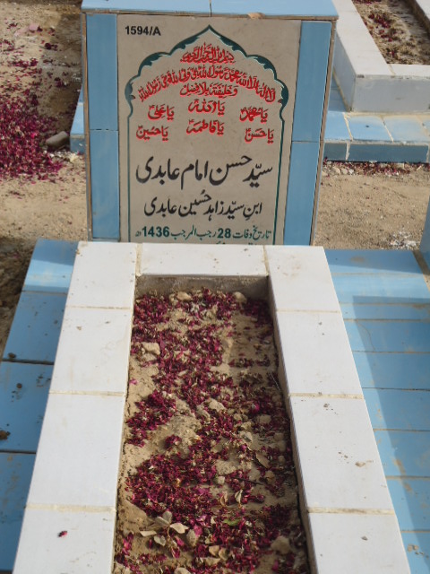 11594 – Syed Hasan Imam Abidi