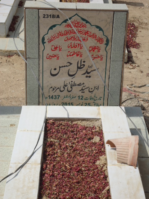 12318 – Syed Zille Hasan