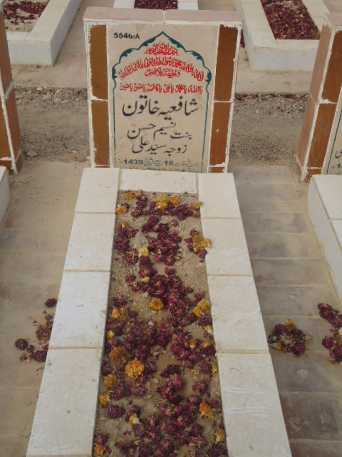 15546 – Shafia Khatoon