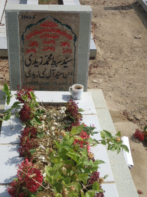 12503 – Syed Sibte Muhammad Zaidi