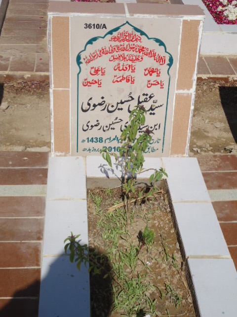 13610 – Syed Aqeel Hussain Rizvi