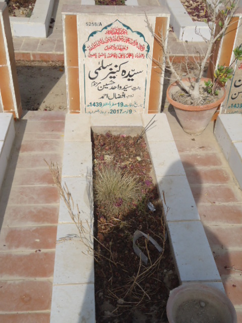 15258 – Syeda Kaneez Salma