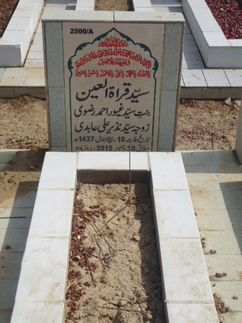 12500 – Syeda Qurat Ul Ain