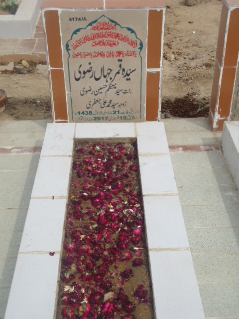 14174 – Syeda Qamar Jahan Rizvi