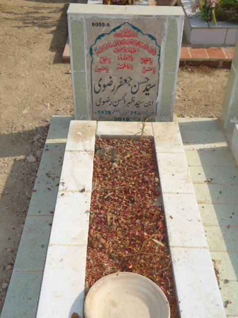 16055 – Syed Hassan Jaffar Rizvi