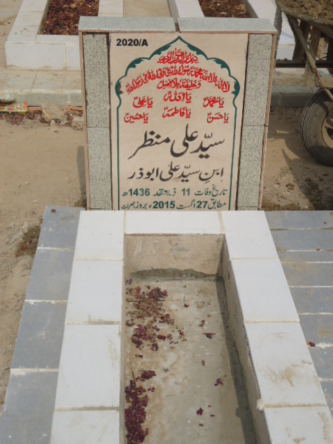 12020 – Syed Ali Manzar